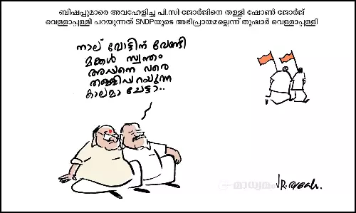 നാല് വോട്ടിന് വേണ്ടി..