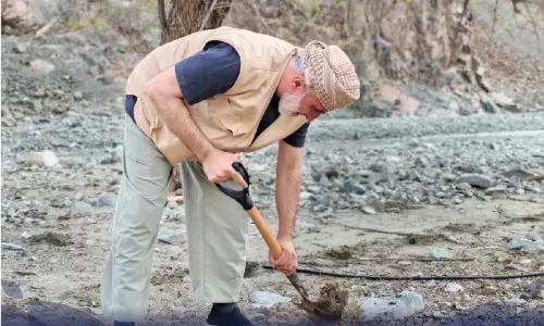സുഹാറിൽ 12 ലക്ഷം തൈകൾ നട്ട് പരിസ്ഥിതി അതോറിറ്റി