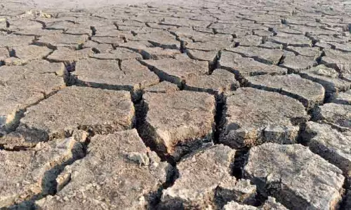 ജലനിരപ്പ് താഴുന്നു; കബനി വരൾച്ചയിലേക്ക്