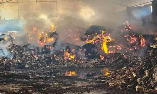 പാ​പ്പി​നി​ശ്ശേ​രി തു​രു​ത്തി​യി​ൽ വീ​ണ്ടും തീ​പി​ടി​ത്തം; മ​ര​ക്ക​മ്പ​നി ക​ത്തി​ന​ശി​ച്ചു