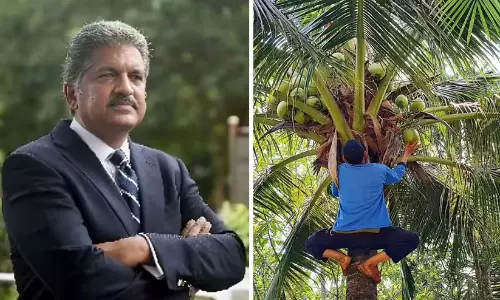 Anand Mahindra Coconut Harvester Anand Mahindra Coconut Harvester