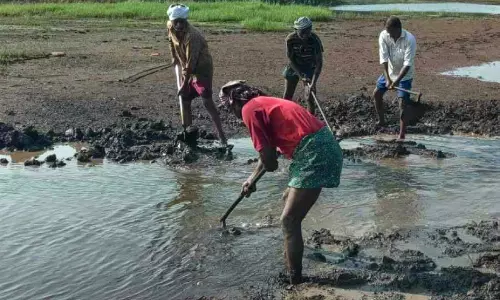 കോൾ മേഖലയിൽ ജലക്ഷാമം; കർഷകർ ദുരിതത്തിൽ