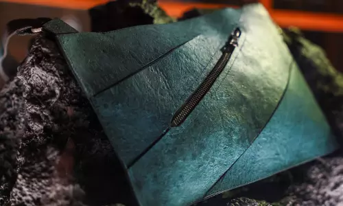 ദിനോസറിന്റെ തൊലികൊണ്ട് ഹാൻഡ് ബാഗ്! ലോകത്തെ ആദ്യ ‘ദിനോസർ ലെതർ’ ഹാൻഡ്‌ബാഗെന്ന് അവകാശവാദം