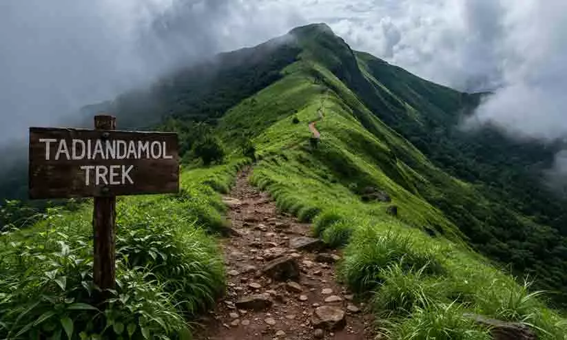 തടിയന്റമോൾ: സാഹസികത തേടുന്നവരുടെ ട്രെക്കിങ്ങ് സ്പോട്ട് തടിയന്റമോൾ: സാഹസികത തേടുന്നവരുടെ ട്രെക്കിങ്ങ് സ്പോട്ട്