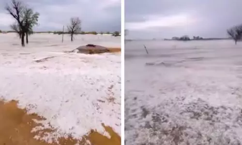 മഞ്ഞണിഞ്ഞ് മണൽഭൂമി