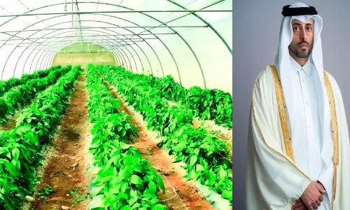 ഭ​ക്ഷ്യസു​ര​ക്ഷ സാ​ഹ​ച​ര്യം സു​സ്ഥി​ര​വും സു​ര​ക്ഷി​ത​വു​മാ​ണ് -  മു​നി​സി​പ്പാ​ലി​റ്റി മ​ന്ത്രി