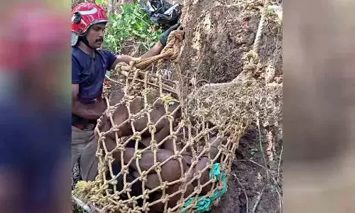 വര്‍ക്കലയിൽ ഹെലിപാഡ് ക്ലിഫിൽനിന്ന് സെൽഫിയെടുക്കുന്നിതിനിടെ യുവാവ് താഴേ വീണു