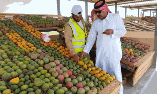 ജീസാനിലെ കർഷകർക്ക് കരുത്തായി സഹകരണ സംഘം; സബിയയിലും ബിഷിലും പുതിയ വിപണന കേന്ദ്രങ്ങൾ തുറന്നു