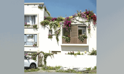 അതിജീവനത്തിന്‍റെ പൂക്കാലം; ബഹ്റൈനിലെ തകർന്ന കെട്ടിടങ്ങളെ പ്രത്യാശയുടെ പ്രതീകങ്ങളാക്കി വോയ്ഡ് ഡിസൈൻ ഏജൻസി