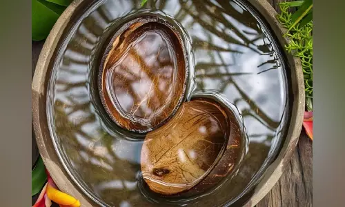 എ.സി വേണ്ട, കറന്‍റ് ബില്ലും പേടിക്കണ്ട; മുറി തണുപ്പിക്കാൻ ഇതാ ചില നാടൻ വിദ്യകൾ