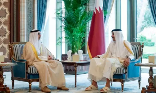 വിദേശകാര്യ മന്ത്രി ഖത്തർ അമീറുമായി കൂടിക്കാഴ്ച നടത്തി