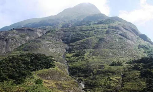 ഇനി യാത്ര തുടങ്ങാം... കാടറിഞ്ഞ്