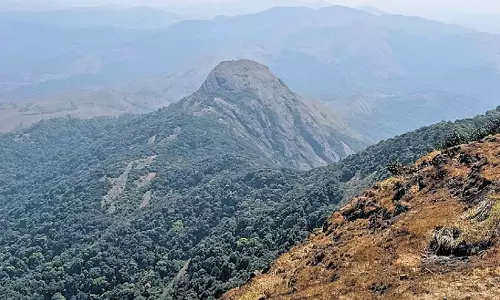 ശരണ്യയെ കാണാതായ സംഭവം; തടിയന്റമോൾ ട്രക്കിങ്ങിന് താൽകാലിക വിലക്കേർപ്പെടുത്തി കർണാടക വനംവകുപ്പ്