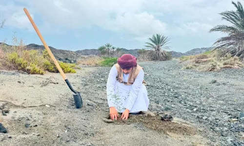 മഴ വീണ മണ്ണിലേക്ക് അതിജീവനത്തിന്റെ വിത്തുകൾ; വിവിധ ഗവർണറേറ്റുകളിലായി ലക്ഷക്കണക്കിന് വിത്തുകൾ നട്ട് പരിസ്ഥിതി അതോറിറ്റി