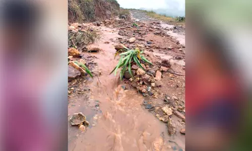 പൈനാപ്പിൾ കൃഷിക്ക് വ്യാപക മണ്ണെടുപ്പ്; മേലോരം റോഡ് തകർന്നു