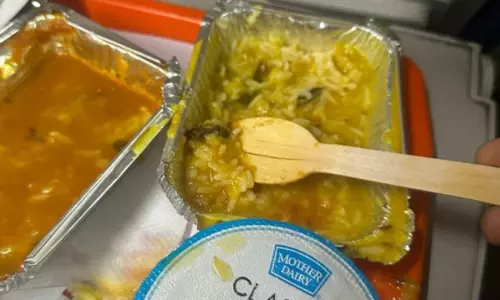 വന്ദേ ഭാരതിലെ ഭക്ഷണത്തിൽ പാറ്റ; കരാറുകാരന് 10 ലക്ഷം രൂപ പിഴ ചുമത്തി റെയിൽവേ