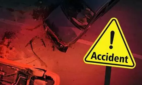 മരം വീണ് ബൈക്ക് യാത്രികന് പരിക്ക്