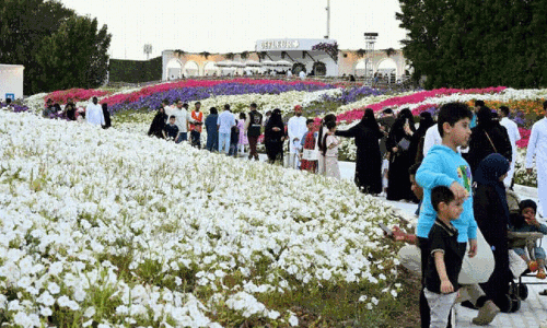 യാം​ബു പു​ഷ്പ​മേ​ള​യി​ലേ​ക്ക് ജ​ന​മൊ​ഴു​കു​ന്നു; സ​ന്ദ​ർ​ശ​ക​രാ​യി മ​ല​യാ​ളി കു​ടും​ബ​ങ്ങ​ളും പ്ര​വാ​സി കൂ​ട്ടാ​യ്മ​ക​ളും