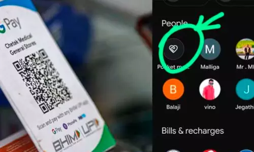 ഗൂഗിൾ പേയിലെ പോക്കറ്റ് മണി ഉപയോക്താക്കളുടെ കീശകാലിയാക്കാനുള്ള പുതിയ തട്ടിപ്പോ? വാട്സ്ആപ് സന്ദേശങ്ങളിലെ സത്യാവസ്ഥ എന്താണ്