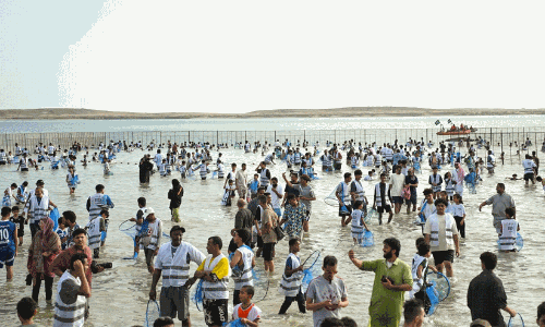 ചെങ്കടലിൽ വീണ്ടും വിസ്മയമൊരുക്കി ‘ഹരീദ്’ മത്സ്യക്കൂട്ടങ്ങൾ; ഫറസാൻ ദ്വീപിൽ ആവേശമായി മത്സ്യബന്ധന ഉത്സവം