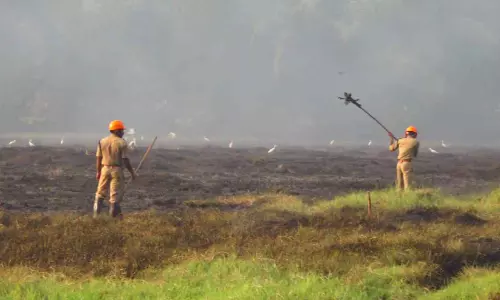 പൊന്നാനി വലിയ പാലത്തിനു സമീപം കോൾനിലത്തിൽ വൻ തീപിടിത്തം