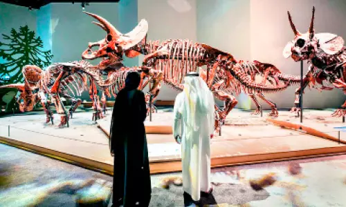 പ്രകൃതിയുടെ രസക്കൂടുകൾ