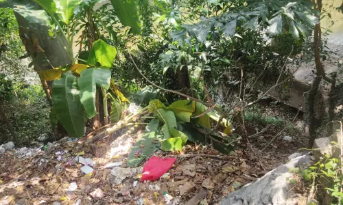 റോഡ് അടിച്ചുവാരിയ മാലിന്യം പൂനൂർ പുഴയിൽ തള്ളുന്നു