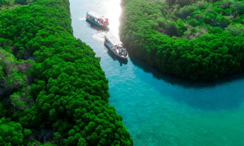 ഫ​റ​സാ​ൻ ദ്വീ​പു​ക​ളു​ടെ സ​മ​ഗ്ര വി​ക​സ​ന​ത്തി​ന് 54.6 കോ​ടി റി​യാ​ലി​െൻറ പ​ദ്ധ​തി​ക​ൾ