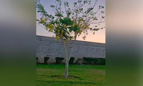 ഇത്തവണ വിഷുസദ്യ പ്രവാസികൾക്ക് ചെലവേറും