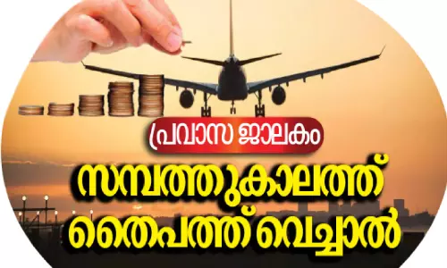 പശ്ചിമേഷ്യൻ സംഘർഷം; തിരികെ പോകുന്ന പ്രവാസികൾക്കുള്ള പുനരധിവാസ സാധ്യതകൾ