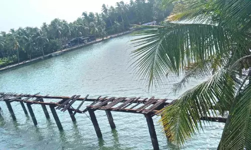 പുതിയ പാലം വന്നിട്ട് 13 വർഷം; ഓർച്ച പുഴയിലെ നടപ്പാലം പെളിച്ചുനീക്കിയില്ല പുതിയ പാലം വന്നിട്ട് 13 വർഷം; ഓർച്ച പുഴയിലെ നടപ്പാലം പെളിച്ചുനീക്കിയില്ല