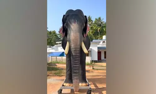 കോട്ടമുറി പുന്നക്കപറമ്പിൽ ക്ഷേത്രോത്സവത്തിന് ഇനി റോബോട്ടിക് ആന