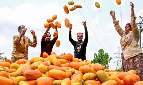 പൂത്തുലഞ്ഞ ഓർമകളുമായി വിഷുവെത്തുന്നു പൂത്തുലഞ്ഞ ഓർമകളുമായി വിഷുവെത്തുന്നു