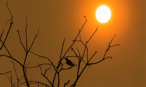 വരുന്നു ചൂടൻ ദിനങ്ങൾ; ജാഗ്രത വേണം, കേരളത്തിൽ 12 ജില്ലകളിൽ യെല്ലോ അലർട്ട് വരുന്നു ചൂടൻ ദിനങ്ങൾ; ജാഗ്രത വേണം, കേരളത്തിൽ 12 ജില്ലകളിൽ യെല്ലോ അലർട്ട്