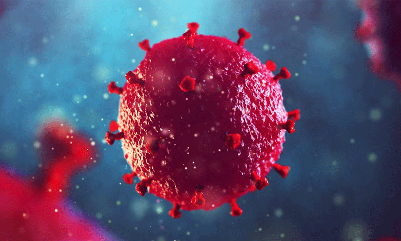 എച്ച്.ഐ.വി ചികിത്സയിൽ നിർണായക വഴിത്തിരിവ്: സ്റ്റം സെല്ലിലൂടെ രോഗമുക്തി എച്ച്.ഐ.വി ചികിത്സയിൽ നിർണായക വഴിത്തിരിവ്: സ്റ്റം സെല്ലിലൂടെ രോഗമുക്തി