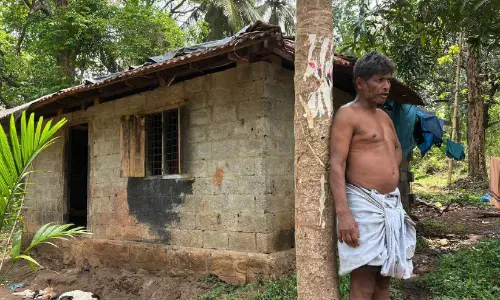 ചക്ക തിന്നാൻ കാട്ടാനകൾ; കണ്ണടക്കാനാവാതെ ആദിവാസി കുടുംബങ്ങൾ