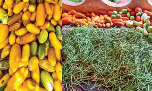 പച്ചക്കറി കൃഷിയിൽ വിഷു വിപണി കീഴടക്കി കുടുംബശ്രീ മിഷൻ