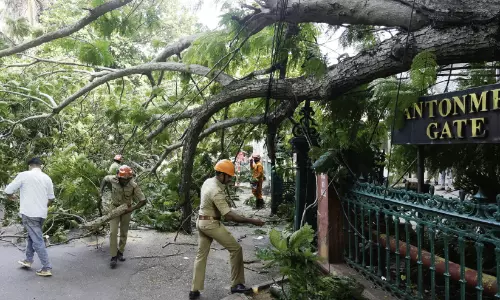 സെക്രട്ടേറിയറ്റ് ഗേറ്റിന് സമീപം മരം ഒടിഞ്ഞുവീണു; ഒഴിവായത് വൻ ദുരന്തം