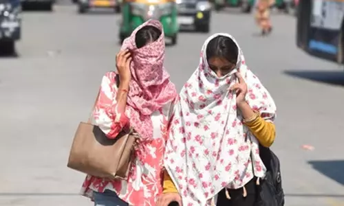 പൊള്ളുന്ന ചൂട്; കരുതലാകാം