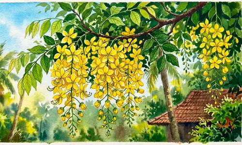 ഓർമകളുടെയും ഐക്യത്തി​ന്റെയും പുതുവെളിച്ചം