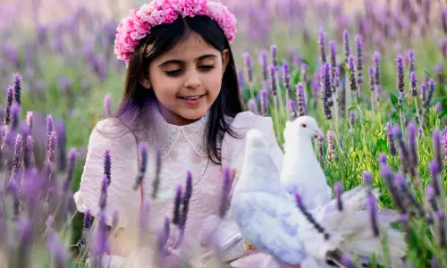 ലാവെൻഡർ വസന്തത്തിൽ സരവാത്ത് മലനിരകൾ