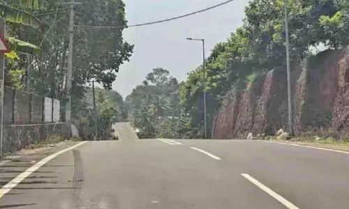 മൂവാറ്റുപുഴ-തേനി റോഡിൽ അപകടം പെരുകുന്നു