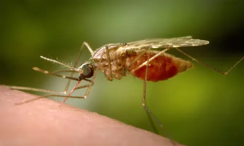 ചിക്കുൻഗുനിയ; ജാഗ്രത പാലിക്കണമെന്ന് ആരോഗ്യ വകുപ്പ്