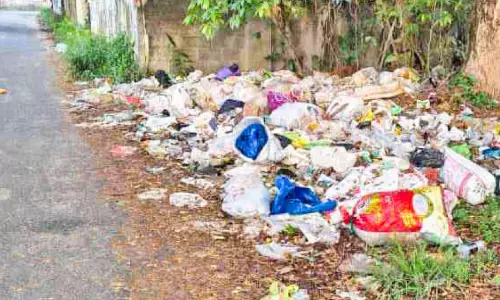 പഞ്ചായത്ത് പ്രസിഡന്റിന്റെ വാർഡിൽ മാലിന്യം കുമിഞ്ഞുകൂടുന്നു