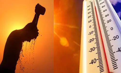 ചൂട്: വ്യാജ പ്രചാരണങ്ങൾക്ക് കർശന നടപടി -ദുരന്ത നിവാരണ അതോറിറ്റി