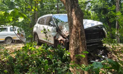 കാർ പാതയോരത്തെ മരത്തിലേക്ക് ഇടിച്ചുകയറി