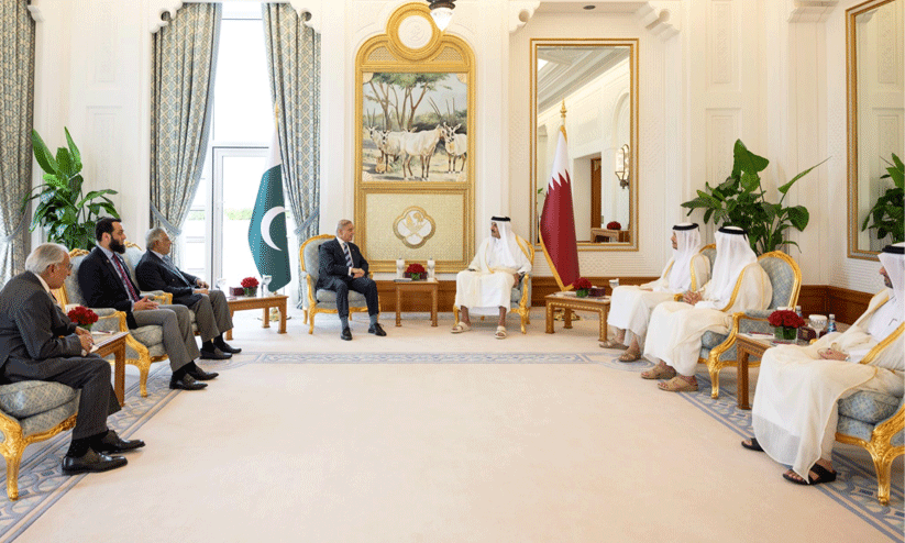 മേഖലയിലെ സമാധാനത്തിന് നയതന്ത്ര ശ്രമങ്ങൾ അനിവാര്യം; ഖത്തർ അമീർ -പാക് പ്രധാനമന്ത്രി കൂടിക്കാഴ്ച മേഖലയിലെ സമാധാനത്തിന് നയതന്ത്ര ശ്രമങ്ങൾ അനിവാര്യം; ഖത്തർ അമീർ -പാക് പ്രധാനമന്ത്രി കൂടിക്കാഴ്ച