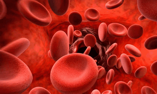 തലമുറകളിലേക്ക് പടരുന്ന നിശബ്ദ രോ​ഗം; ഹീമോഫീലിയയെ അവ​ഗണിക്കരുത്