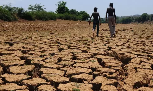 വരൾച്ചയിൽ വലഞ്ഞ് മലയോരം; കൃഷി നാശവും കുടിവെള്ള ക്ഷാമവും രൂക്ഷം