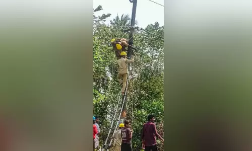 വൈദ്യുതി ലൈനിൽ തളർന്നുവീണ ജീവനക്കാരനെ രക്ഷിച്ചു; തുണയായത് ഹോം ​ഗാ​ർ​ഡി​ന്റെ സ​മ​യോ​ചി​ത ഇ​ട​പെ​ട​ൽ